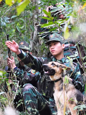 Trinh sát biên phòng Lạng Sơn và chó chiến đấu mật phục trên đường tuần tra. ẢNH: NGUYỄN MINH