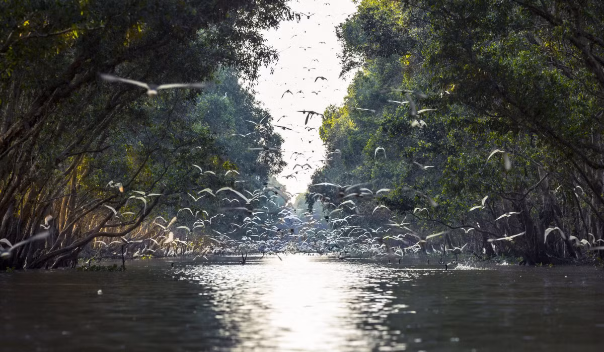 Khoe dáng trên gương nước