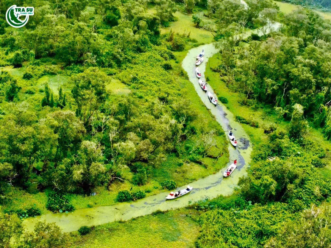 Một màu xanh vô cùng ngoạn mục