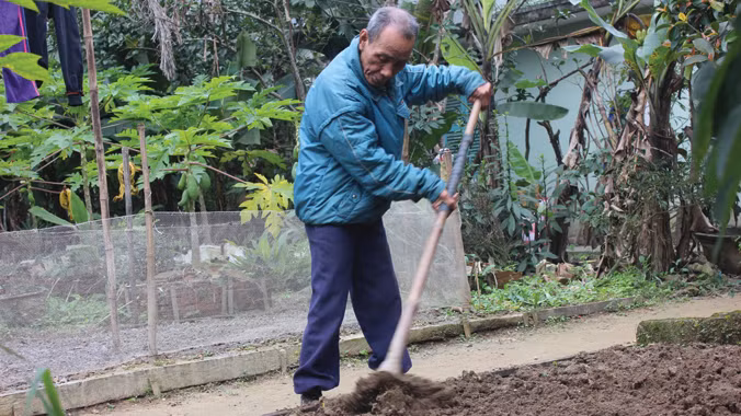 Làng trường thọ ở Huế ảnh 1