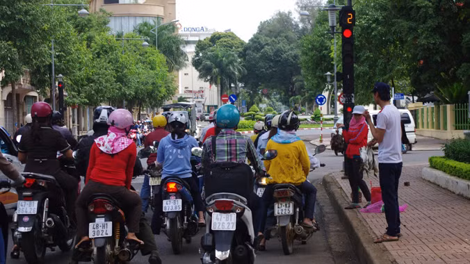 Những chiêu độc tận diệt chim trời ảnh 2