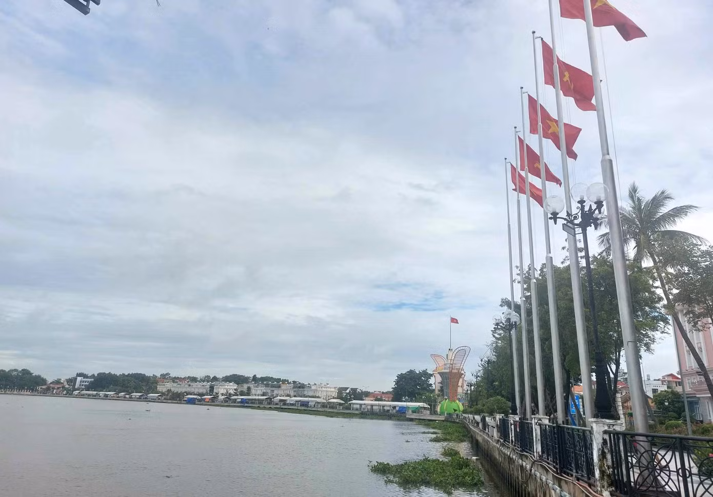 Công trình hoa dầu này được xây dựng tại phố đi bộ đường Bạch Đằng nối dài ven sông Sài Gòn có chiều dài gần 1km đã được đầu tư xây dựng trước đó khoảng 650 tỷ đồng.