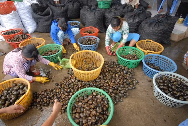 Những chợ đặc biệt chỉ có trong mùa lũ ảnh 11