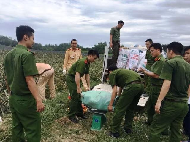 Công an vào tận ruộng mua dứa hỗ trợ nông dân ảnh 1