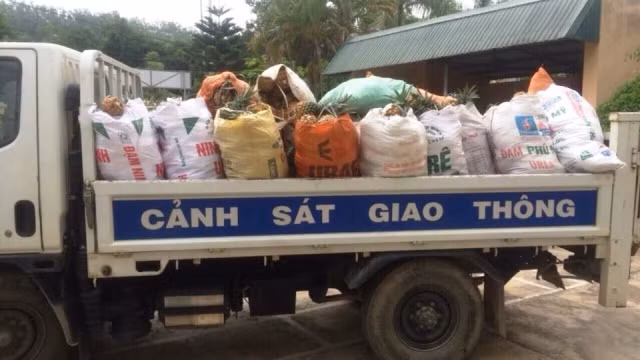Công an vào tận ruộng mua dứa hỗ trợ nông dân ảnh 2