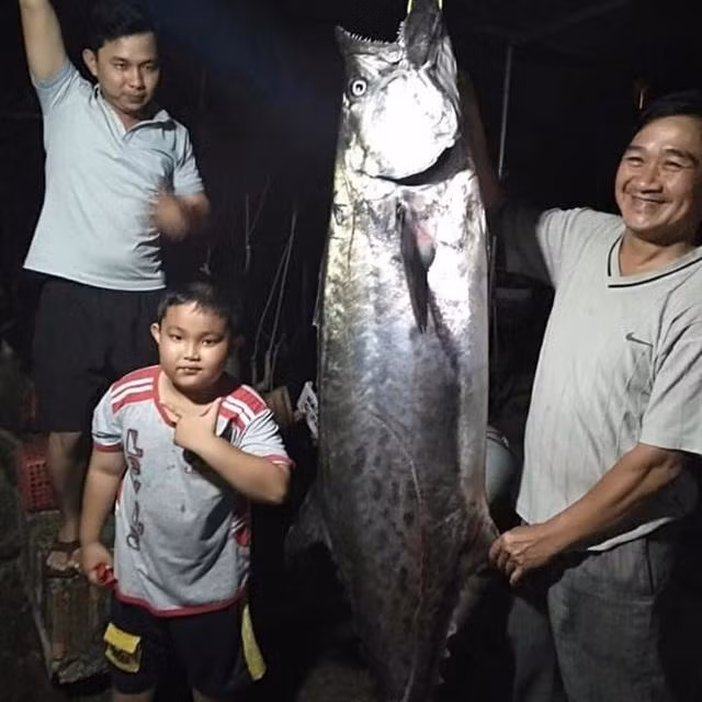 Câu được con cá thu "khủng" gần bờ là chuyện hiếm có nên nhiều người tỏ ý nghi ngờ sự việc được dàn dựng (Ảnh nhân vật cung cấp).