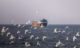Iran tuyên bố không mở lại eo biển Hormuz với Mỹ