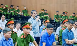Năm 2025, hàng trăm bị cáo phạm tội tham nhũng đã bị xét xử tại Hà Nội 