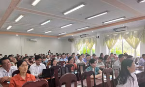 Tập huấn nâng cao kiến thức trợ giúp pháp lý cho người tiến hành tố tụng, công chức cấp xã ở Cần Thơ