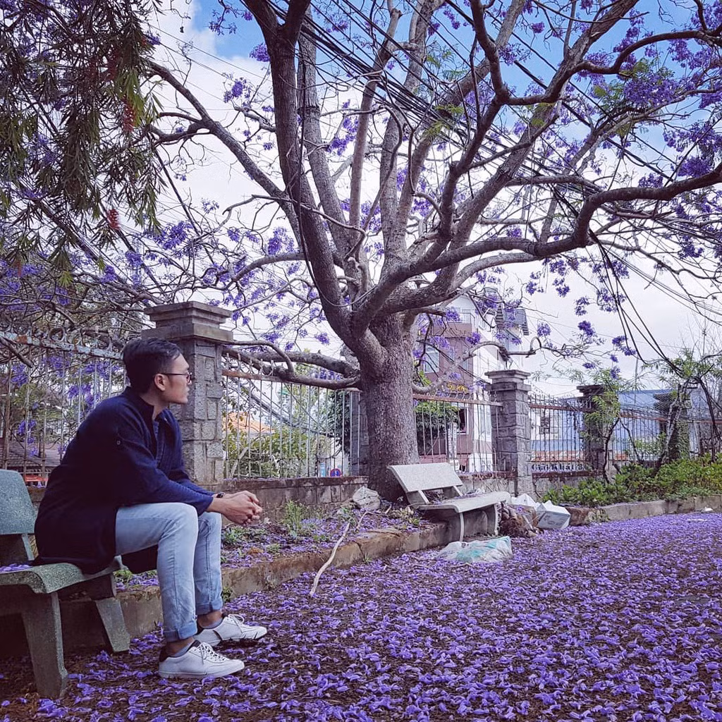 Ảnh: _Tthu98, Anniellanll, Trinhtnguyentran140693, Minthienmin.