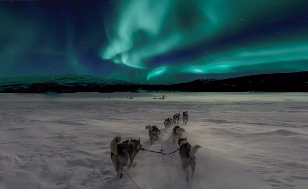 Ảnh: Arctic Travel.