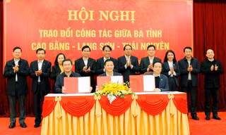 Lý do Cao Bằng, Lạng Sơn, Thái Nguyên thống nhất lập tổ thường trực 