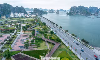 Ngắm lá phổi xanh mướt bên bờ di sản vịnh Hạ Long