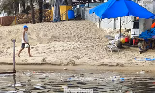 Dòng nước đen ngòm bốc mùi hôi đổ ra biển Đà Nẵng