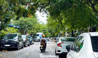 Loạt tuyến đường ở Đà Nẵng biến thành “bãi đậu xe”