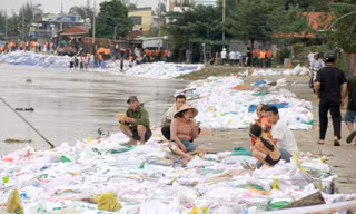 Đà Nẵng công bố tình huống khẩn cấp về thiên tai đối với sự cố sạt lở kè An Lương