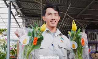 Người dân Đà Nẵng bị hoa tulip xứ lạnh mê hoặc 