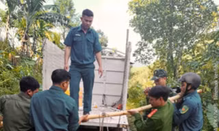 Phát hiện bom, đạn rocket sót lại sau chiến tranh giữa ruộng lúa