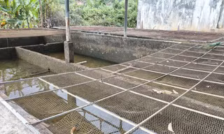 Hơn 4.000 người dân ở Quảng Ngãi sống chung với nước sinh hoạt đục ngầu