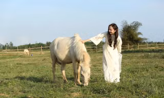 Bạch mã dưới chân Thiên Mã