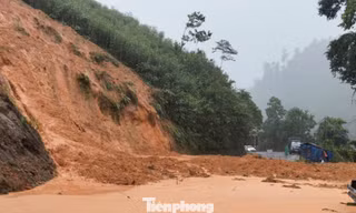 Đà Nẵng mưa to, hàng trăm hộ dân sơ tán, ca nô được 'ship khẩn' đi cứu ngập