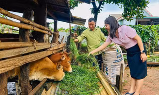 Gia Lai giảm mạnh hộ nghèo, xuất hiện nhiều gương thoát nghèo bền vững