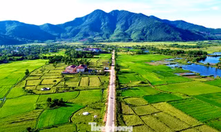 Huế sắp khởi công nhiều dự án phục vụ giải phóng mặt bằng làm đường sắt tốc độ cao