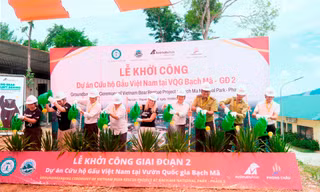 Đầu tư hơn 13 tỷ nâng cấp trung tâm cứu hộ cho Gấu