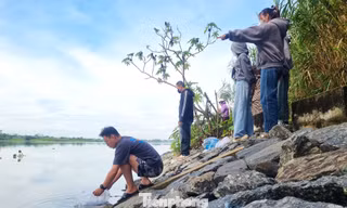 Rằm tháng Bảy, người dân Đà Nẵng đổ ra bờ sông thả hàng trăm kg cá phóng sinh