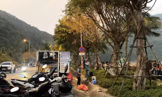 Đà Nẵng dẹp hàng rong tung hoành trên bán đảo Sơn Trà