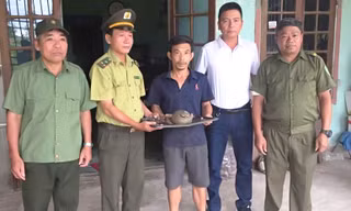 Phát hiện cá thể động vật quý hiếm trên quốc lộ