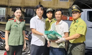 Người dân Huế giao nộp 26 cá thể động vật hoang dã, quý hiếm