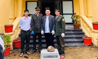 Một cuộc gọi giúp kiểm lâm cứu con vật quý hiếm