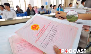 Vợ hoặc chồng chết, cha mẹ hai bên chuyển nhượng nhà đất có được miễn thuế?