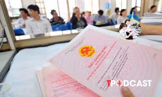 Hướng dẫn tách thửa đất mới nhất, làm đúng quy trình để tránh bị trả hồ sơ