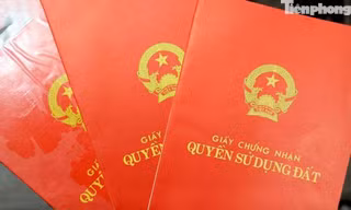 Cách xử lý sổ đỏ chỉ ghi tên đại diện hộ gia đình