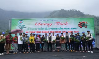 Người dân nhận sâm Ngọc linh