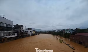 Lực lượng chức năng Cao Bằng đưa người dân đến nơi an toàn. 