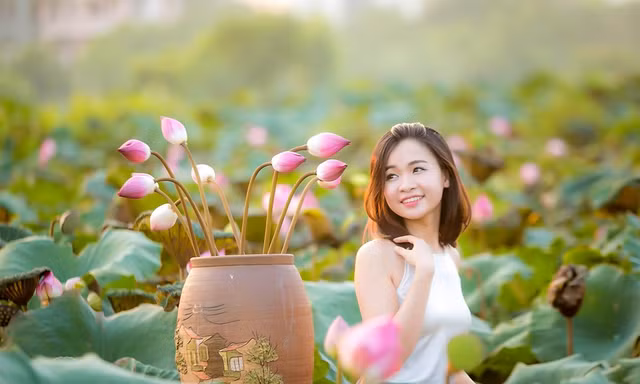 'Lễ hội Sen Hà Nội 2026': Hé lộ hành trình kể chuyện bằng hương sắc