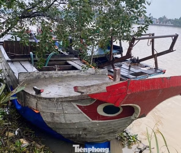 image-1.jpg