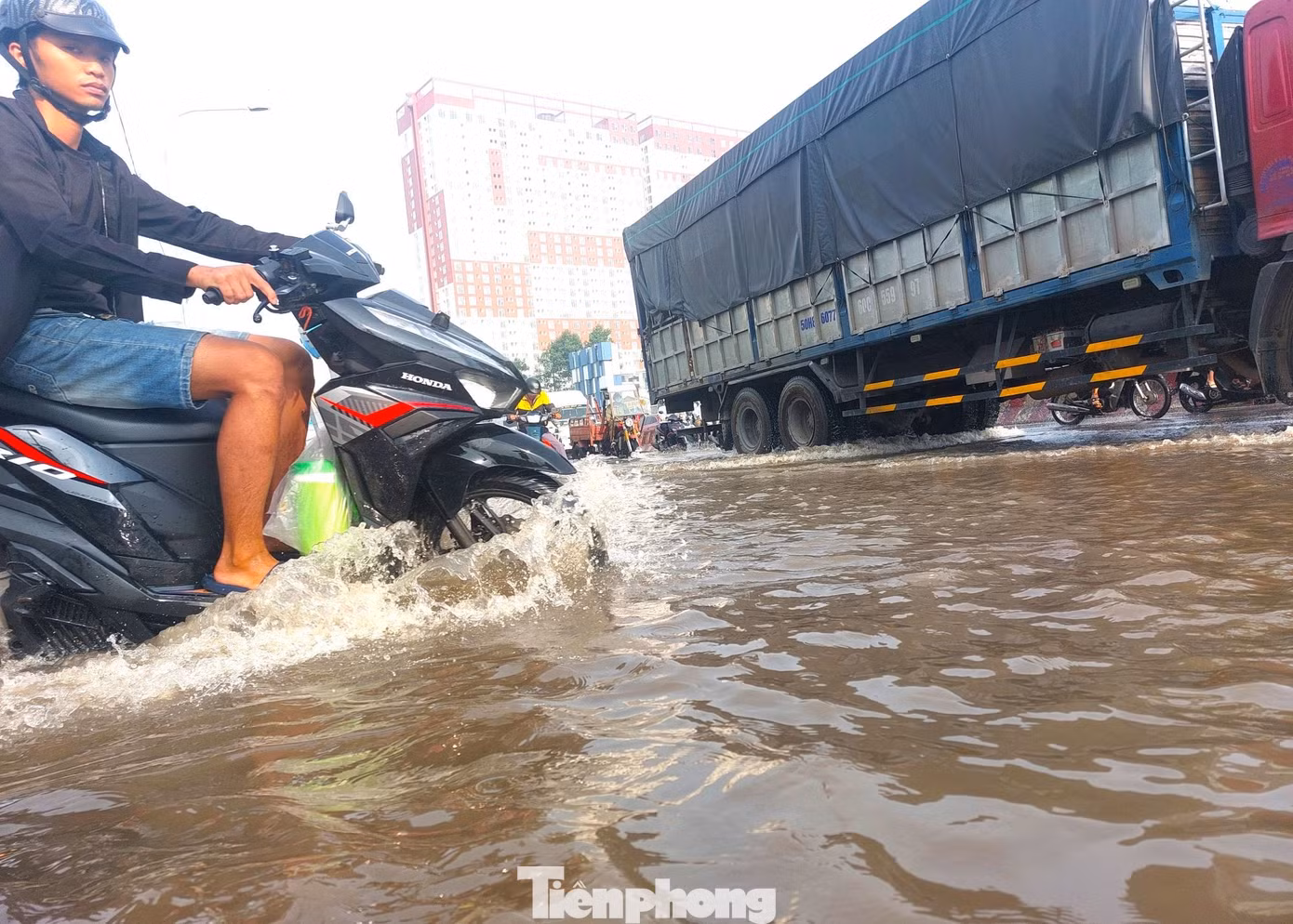 tp-trieu-cuong.jpg