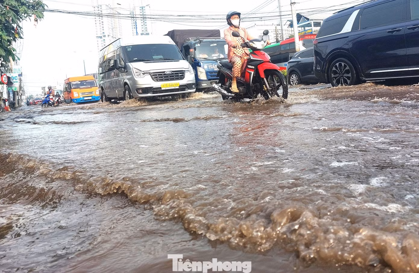tp-trieu-cuong-0.jpg