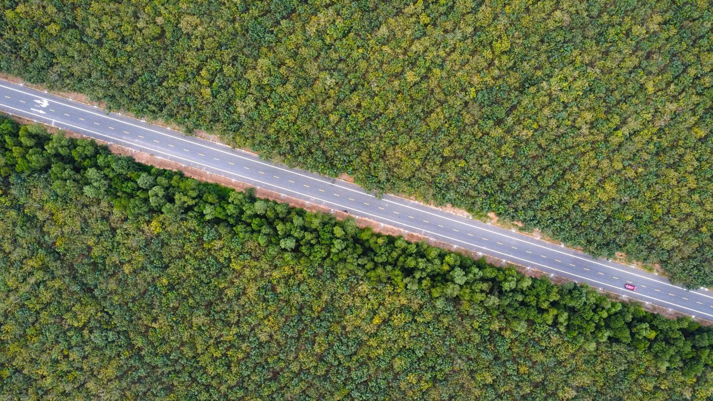 duong-hcm-2.jpg