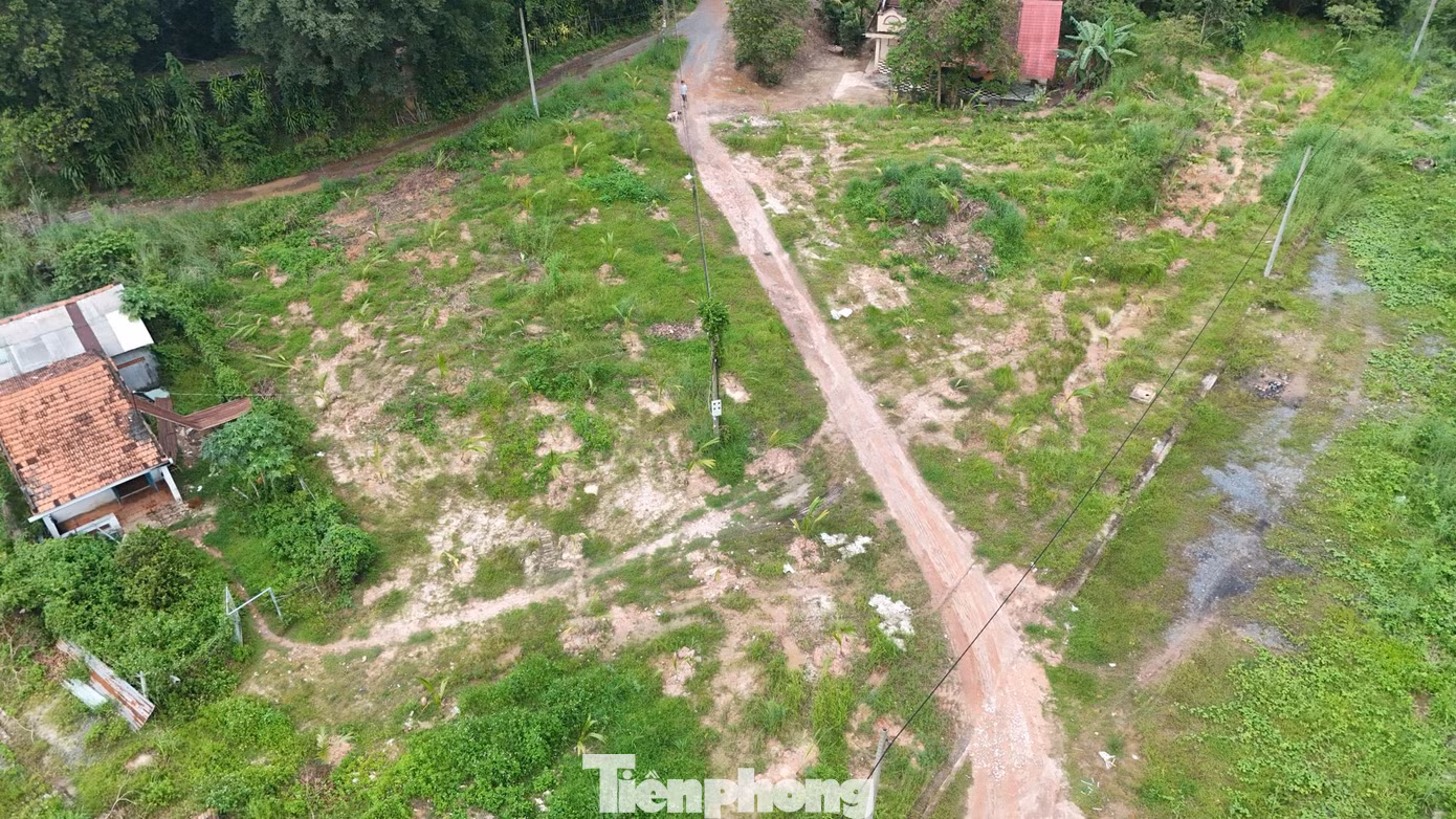 tp-bo-hoang.jpg