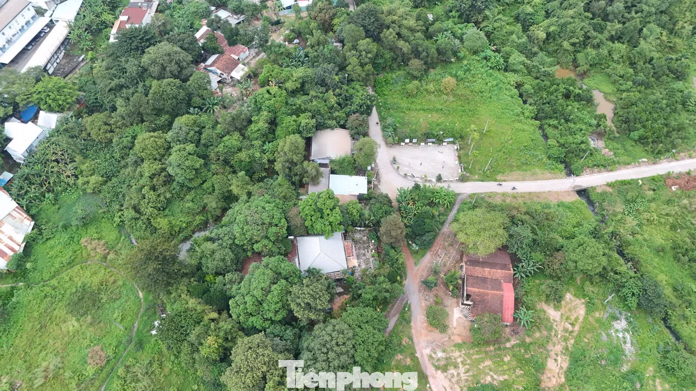 tp-bo-hoang-1.jpg