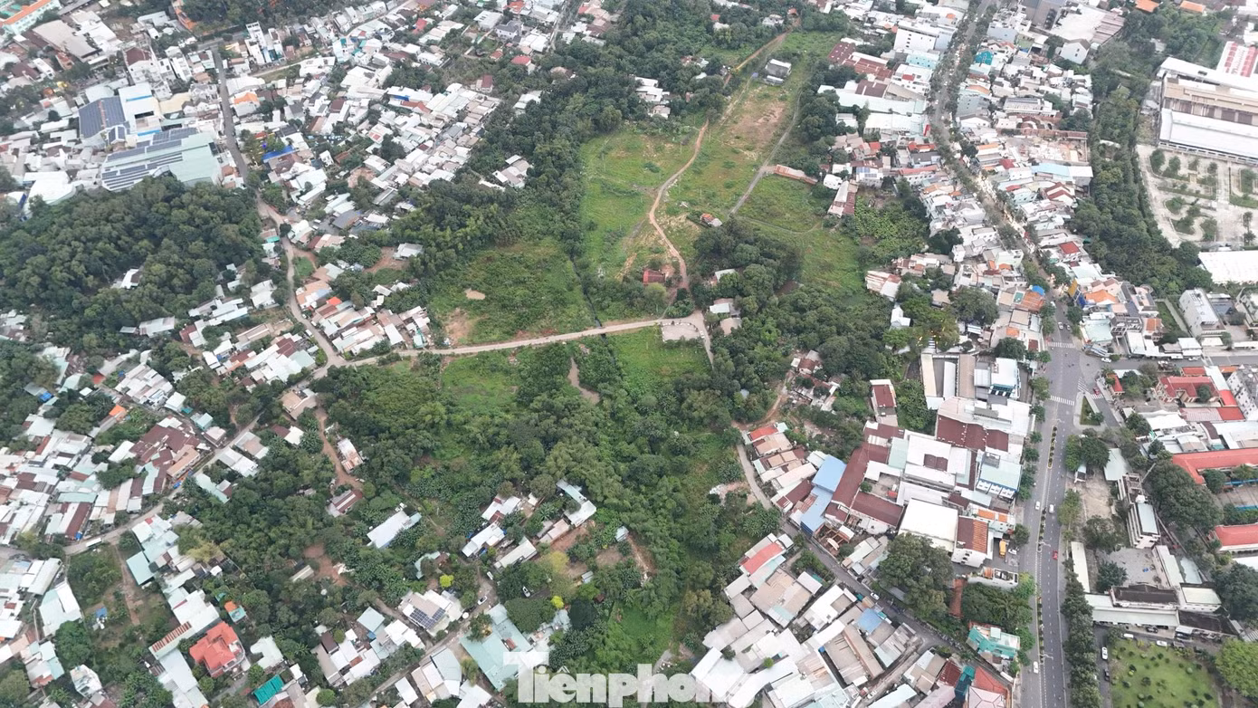 tp-bo-hoang-0.jpg