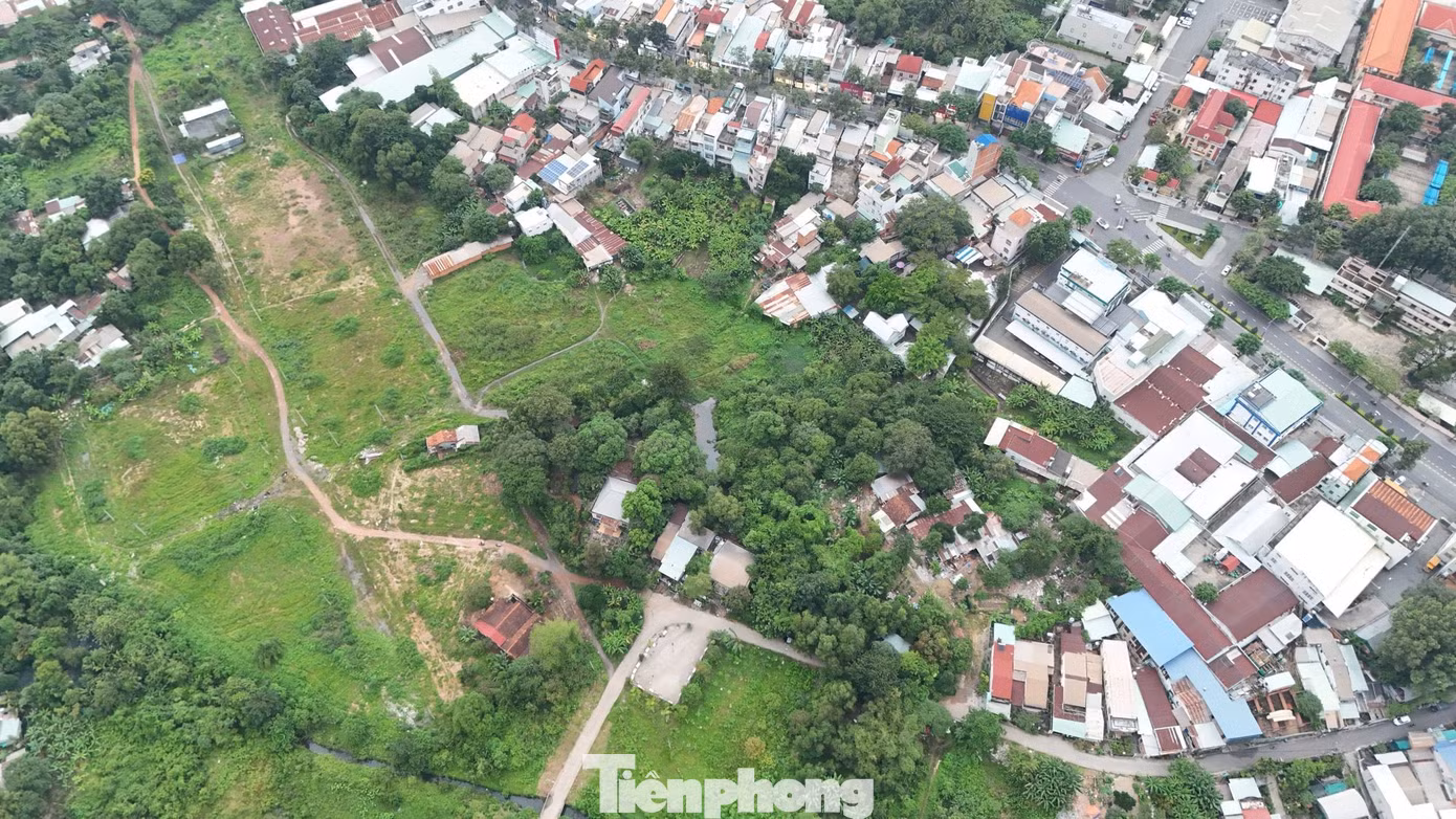 tp-bo-hoang-3.jpg