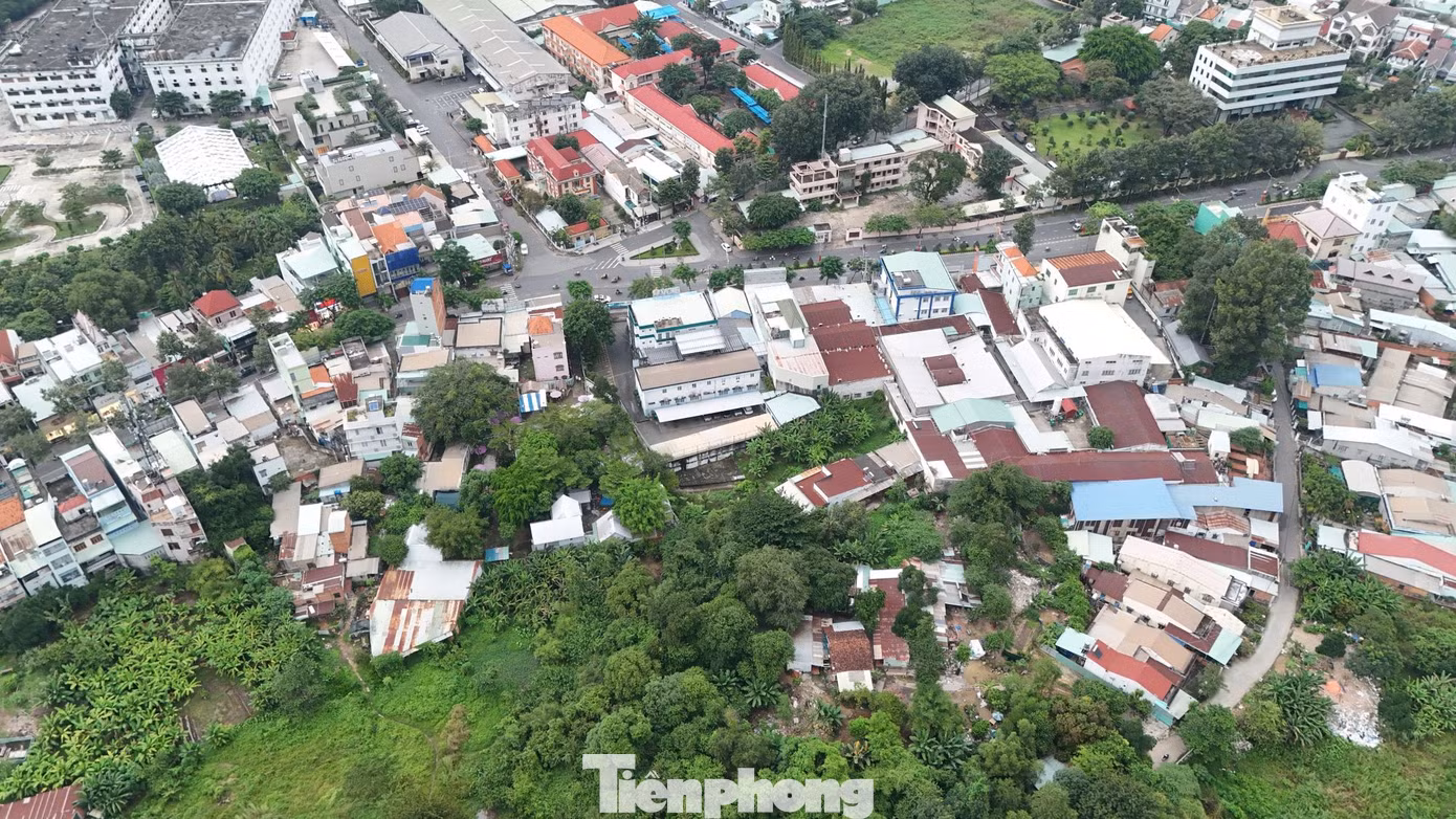 tp-bo-hoang-2.jpg