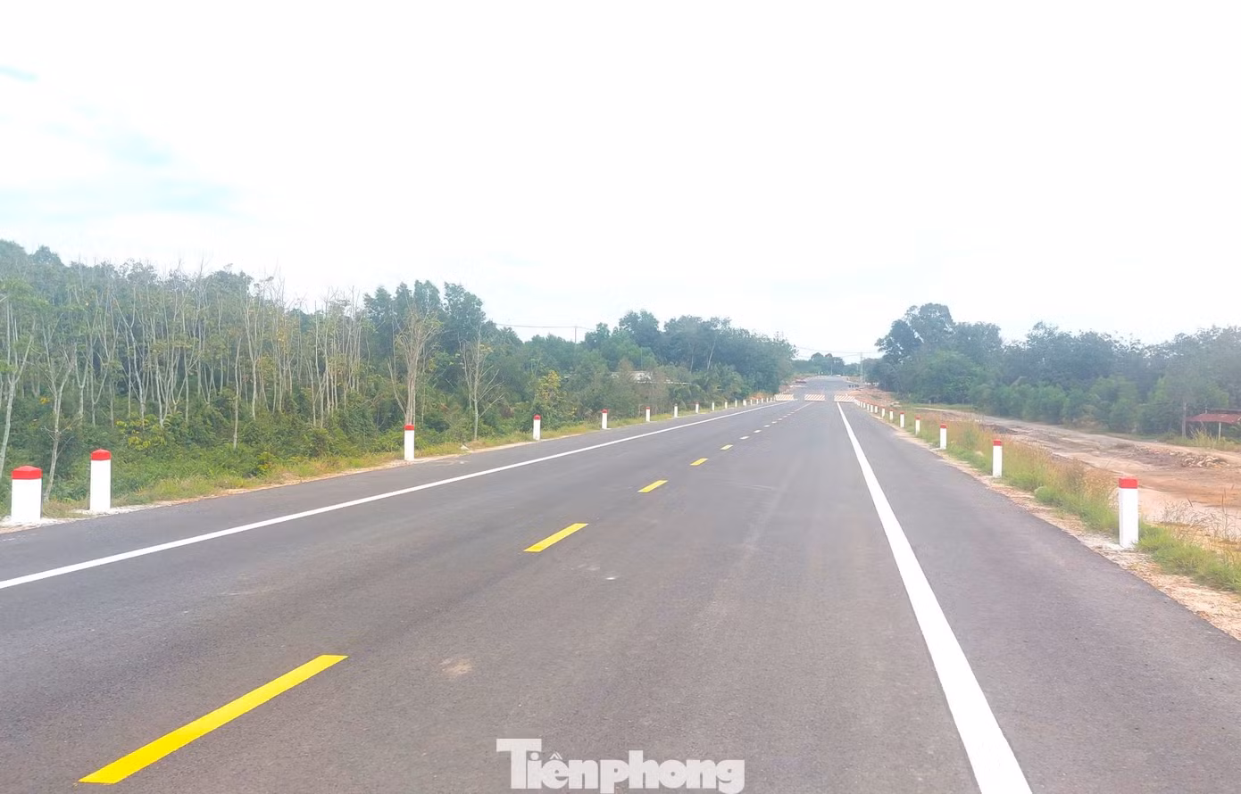 tp-duong-hcm-12.jpg