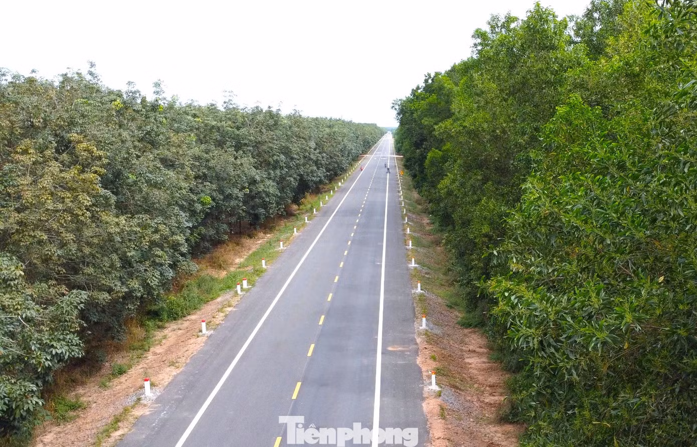 tp-duong-hcm-8.jpg